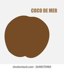 Rara noz de Coco de Mer, ícone lodoicea, coco-do-mar, coco de mer ou coco duplo. Lodoicea fruto de Seicheles, semente de palma tropical única