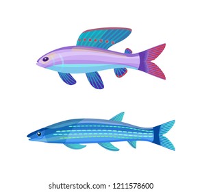 Rare exotic aquarium unusual color fish. Violet-blue sea creature with red dotted fin and long stripped blueish specie cartoon vector illustration.