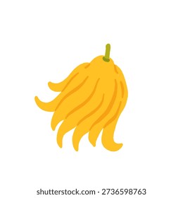 Rare exotic fruits vector illustration set with cucamelon banana passionfruit sapodilla black sapote pepino yellow pitaya rambutan durian loquat monstera blood orange canistel feijoa buddha hand