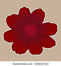 Rare flower illustration design like
Chocolate cosmos