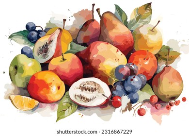 Rare fruits watercolor white background