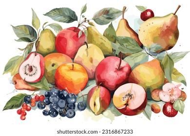 Rare fruits watercolor white background