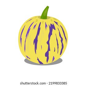 Rare pepino fruit or melon pear. Vector illustration on a white background