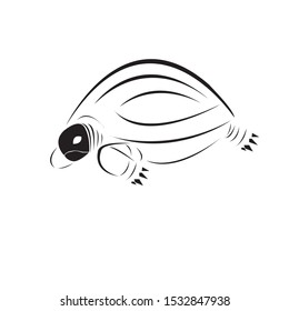 The rare sea turtle animal logo