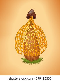 Rare yellow mushroom illustration. Dictyophora indusiata.Tropical Stinkhorn, Phallus indusiatus. Cartoon fungus.