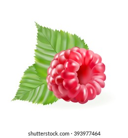 rasberries with green leaves