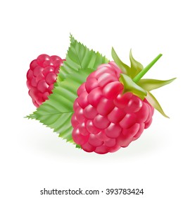 Rasberries With Gteen Leaves