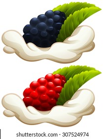 Rasberry and blackberry on cream illustration