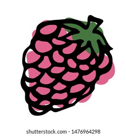 Rasberry Doodle Isolated On The White Background Vector Illustration 