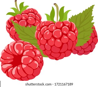 Rasberry Isolated On White Background. Group Of Berries. Red Raspberries And Green Leaves.