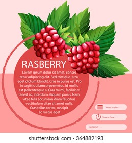 Rasberry And Text Design Illustration