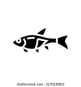 rasbora fish glyph icon vector. rasbora fish sign. isolated symbol illustration