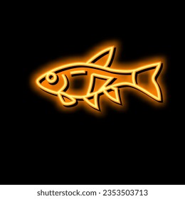 vector de señal de luz de neón de pez rasbora. ilustración de peces rasbora