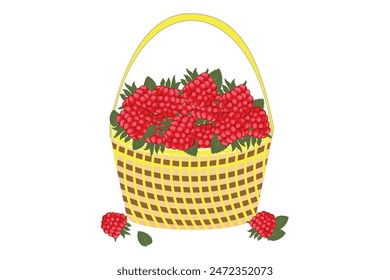 Raspberries in a basket. Ripe raspberry with sepals. Raspberry close-up. Ideal for food and marketing related projects. Vector.