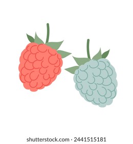 Frambuesas y moras en estilo plano. Conjunto de ilustraciones vectoriales de bayas maduras.