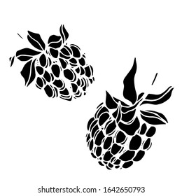 Raspberries and blackberries isolated sketch. Vector berry.
