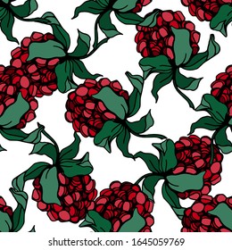 Raspberries And Blackberries Isolated Sketch. Vector Berry. Seamless Pattern