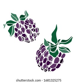 Raspberries and blackberries isolated sketch. Vector berry.