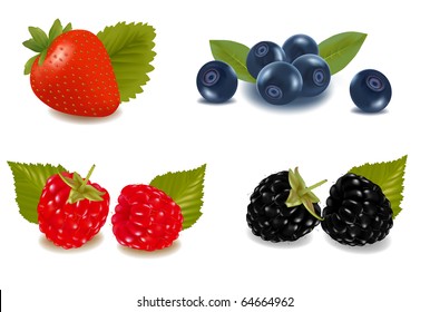 Raspberries, blueberries, blackberries and strawberry. Photo-realistic vector illustration.