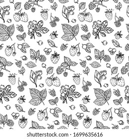 Raspberries Blueberries Strawberry leaves pattern doodle hand drawn graphics vector