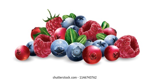 Raspberries, cranberries, blueberries and strawberries