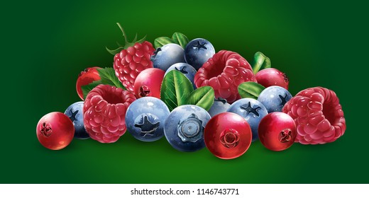 Raspberries, cranberries, blueberries and strawberries