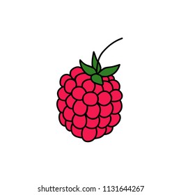 raspberries doodle icon