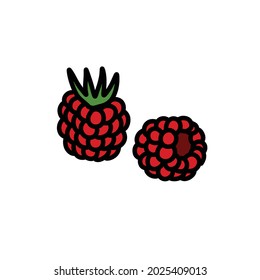 raspberries doodle icon, vector illustration
