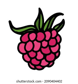 Raspberries in doodle style. Isolated vector.
