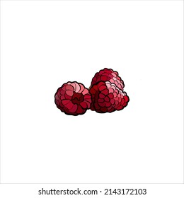 raspberries flat cartoon icon vector illustration