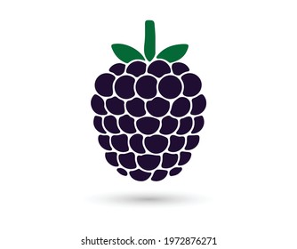 Raspberries Flat Icon On White Background
