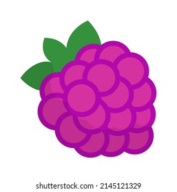 Raspberries fruit icon. Vector illustration
