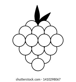 Raspberries fruits cartoon isolated food vector illustration graphic design