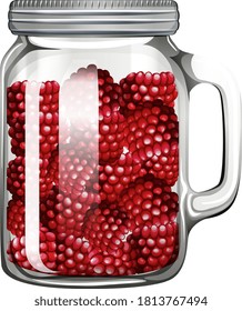 Raspberries in the glass jar illustration