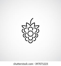 raspberries icon