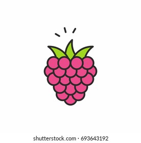 Raspberries icon