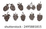 Raspberries Isolated White Background Set
