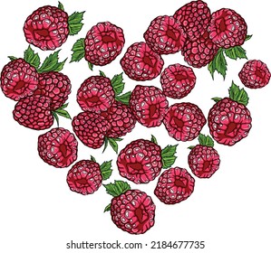 Raspberries are laid out in the shape of a heart. Doodle colorful raspberries on a white background. Sweet food.