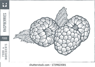 Raspberries with leaf  Vector illustration - Hand drawn - Out line