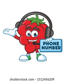 Raspberries Mascot character design vector