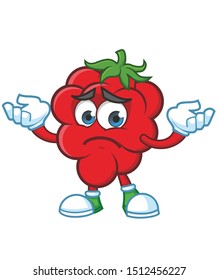 Raspberries Mascot character design vector