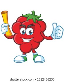 Raspberries Mascot character design vector