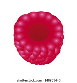 raspberries on white background 