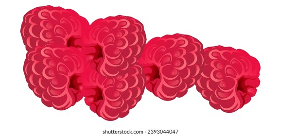 raspberries on a white background