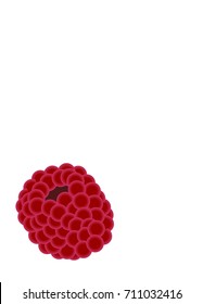Raspberries on a white background