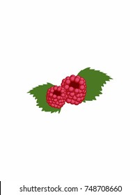 Raspberries on a white background