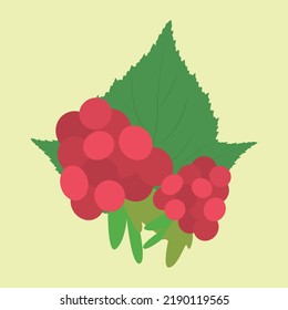 raspberries on a yellow background