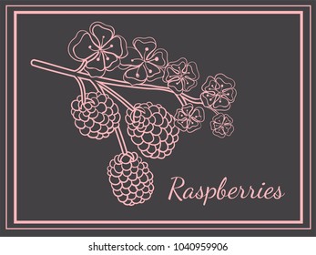 Raspberries Postcard Poster Hand draw Branch Flowers Berries Pink on a Dark Background
