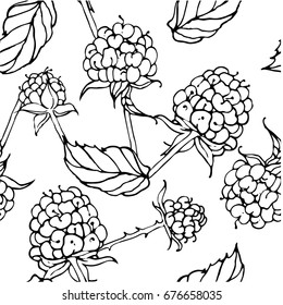 Raspberries. Seamless background. Hand painted black ink. Vector graphics. White background.