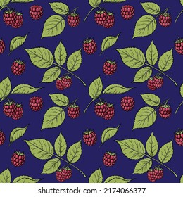 Patrón sin fisuras de frambuesas. Dibujo a mano estilo boceto fruta madura y bayas ilustración vectorial. Ideal para diseños, mercados de fruta y menú vegetal.